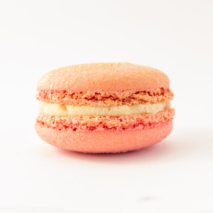 Champagne Rose (Dozen per Box)